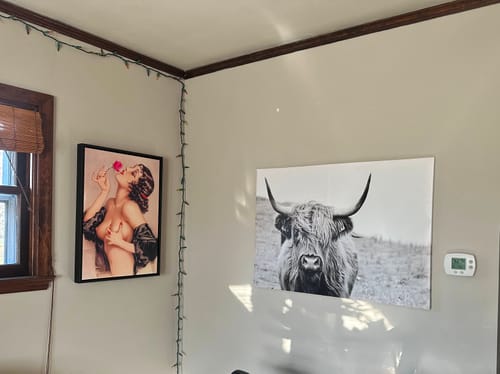 Customer photo review of Memories of Olive (1920) by Alberto Vargas