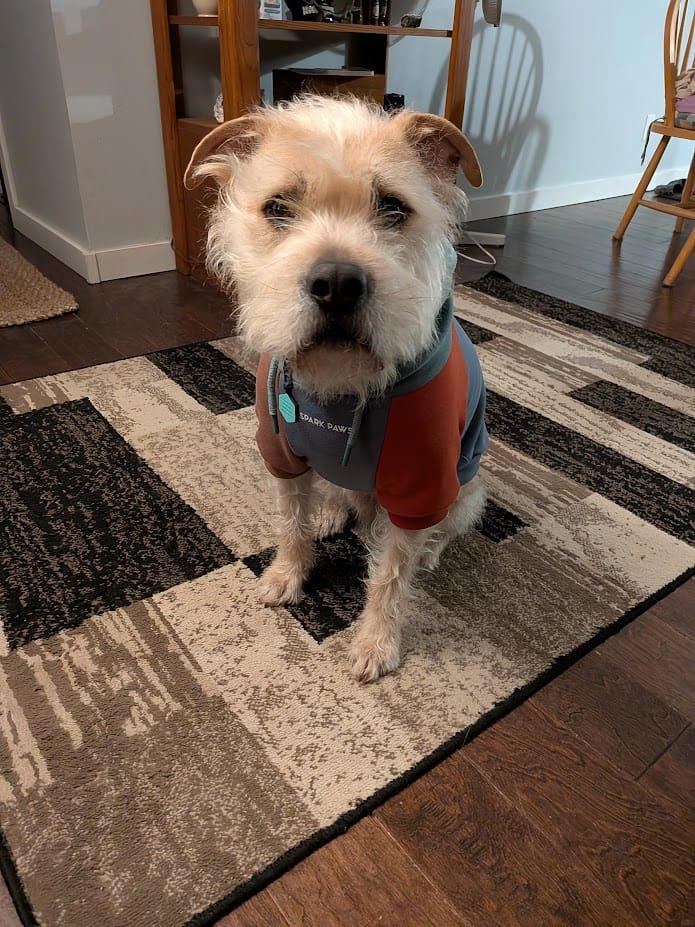 Customer photo review of Alpine Dog Hoodie