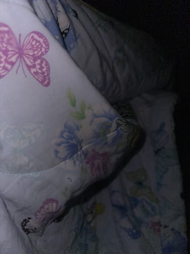 Customer photo review of Daimon Barber No.4 Texture Clay