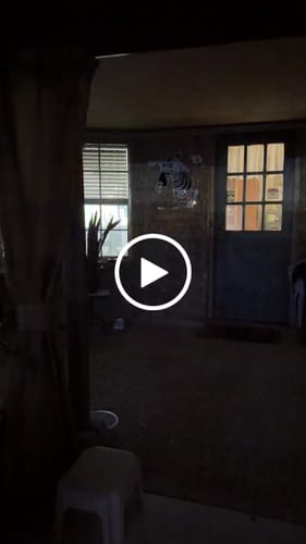 Customer video review of The Zebra’s Closet - Premium Neon Artwork