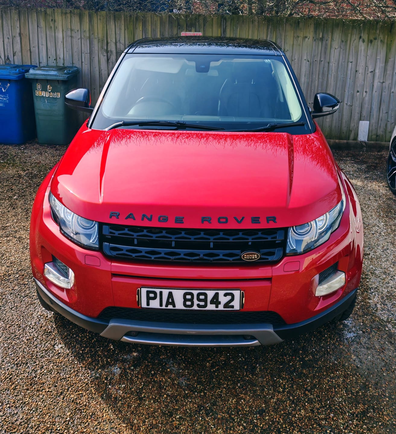 Customer photo review of Chromance - Hybrid Detailer