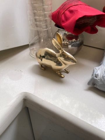 Customer photo review of Golden Rabbit Brass Idol – Auspicious Vastu Remedy for Wealth Attraction & Prosperity | Ideal for North Direction, Office Desk & Home Entrance | 13 x 4.5 x 11.5 cm | 670 g