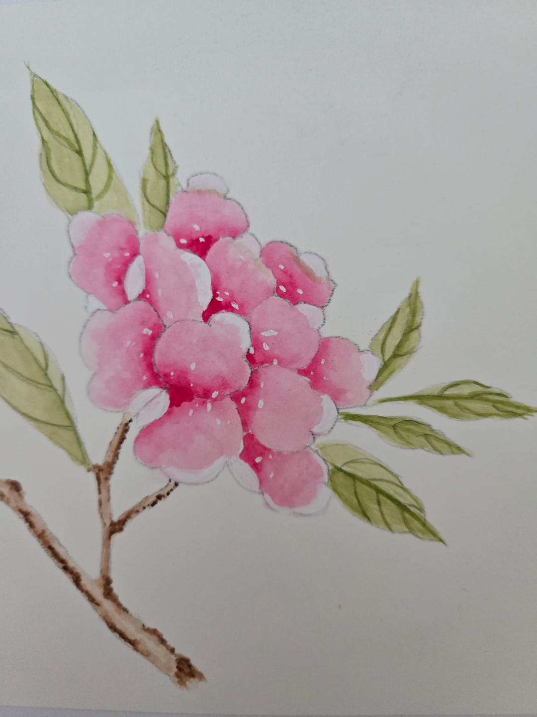 Customer photo review of How To Paint Chinoiserie Art E-Book