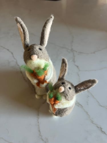 Customer photo review of Bunnies & Carrots Needle Felting Kit