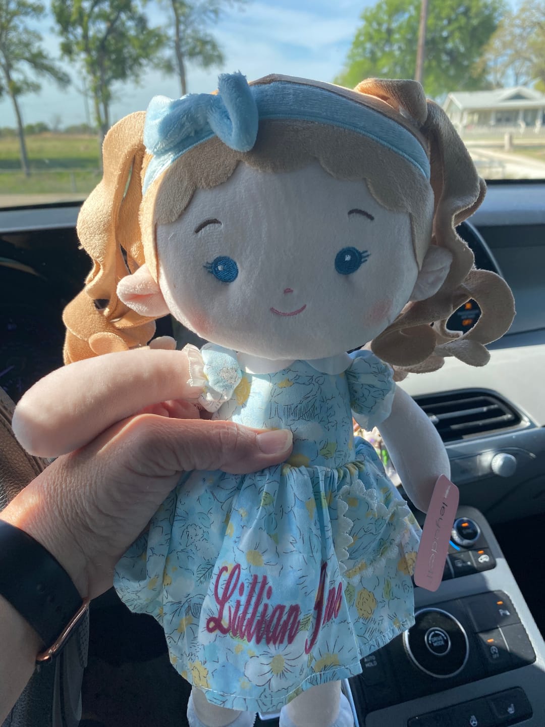 Customer photo review of Personalized Lily Girl & Her Pet