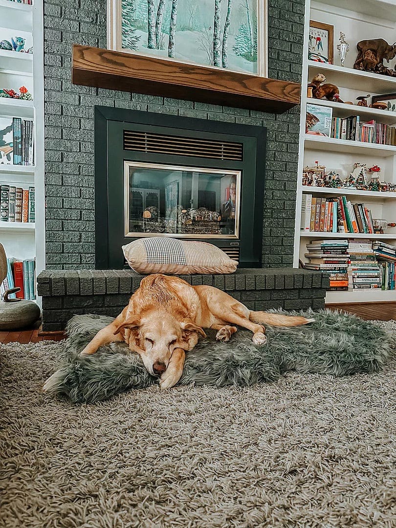 Customer photo review of Faux Fur Orthopedic PupRug - Curve Sable Tan