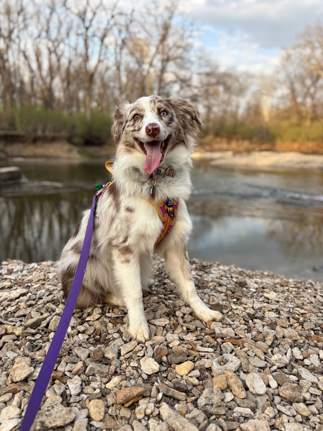 Customer photo review of Pink Rubber Ducky - Adventure Harness