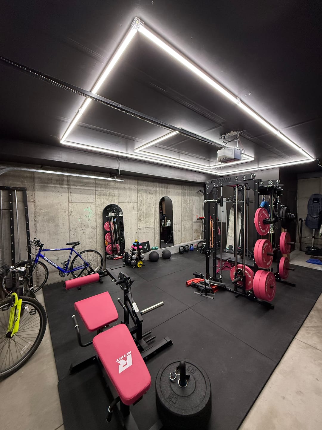 Customer photo review of RitFit Pink PLC01 Leg Extension Curl Machine
