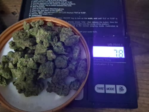 Customer photo review of Raspberry Kush - Minis - 28 Grams - Indica