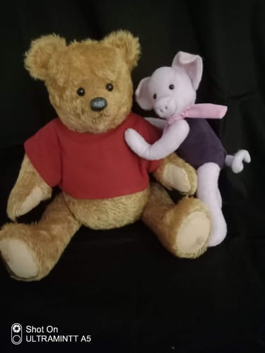 Customer photo review of Rumbly and Pinky PDF pattern  Approx 37cm Seated (Pooh) 22cm Seated (Piglet)