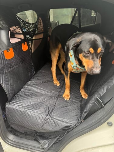 Customer photo review of Dogo Waterproof Car Pet Seat Cover Custom Hand Stitched
