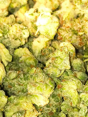 Customer photo review of Bulk Indoor THCA Smalls