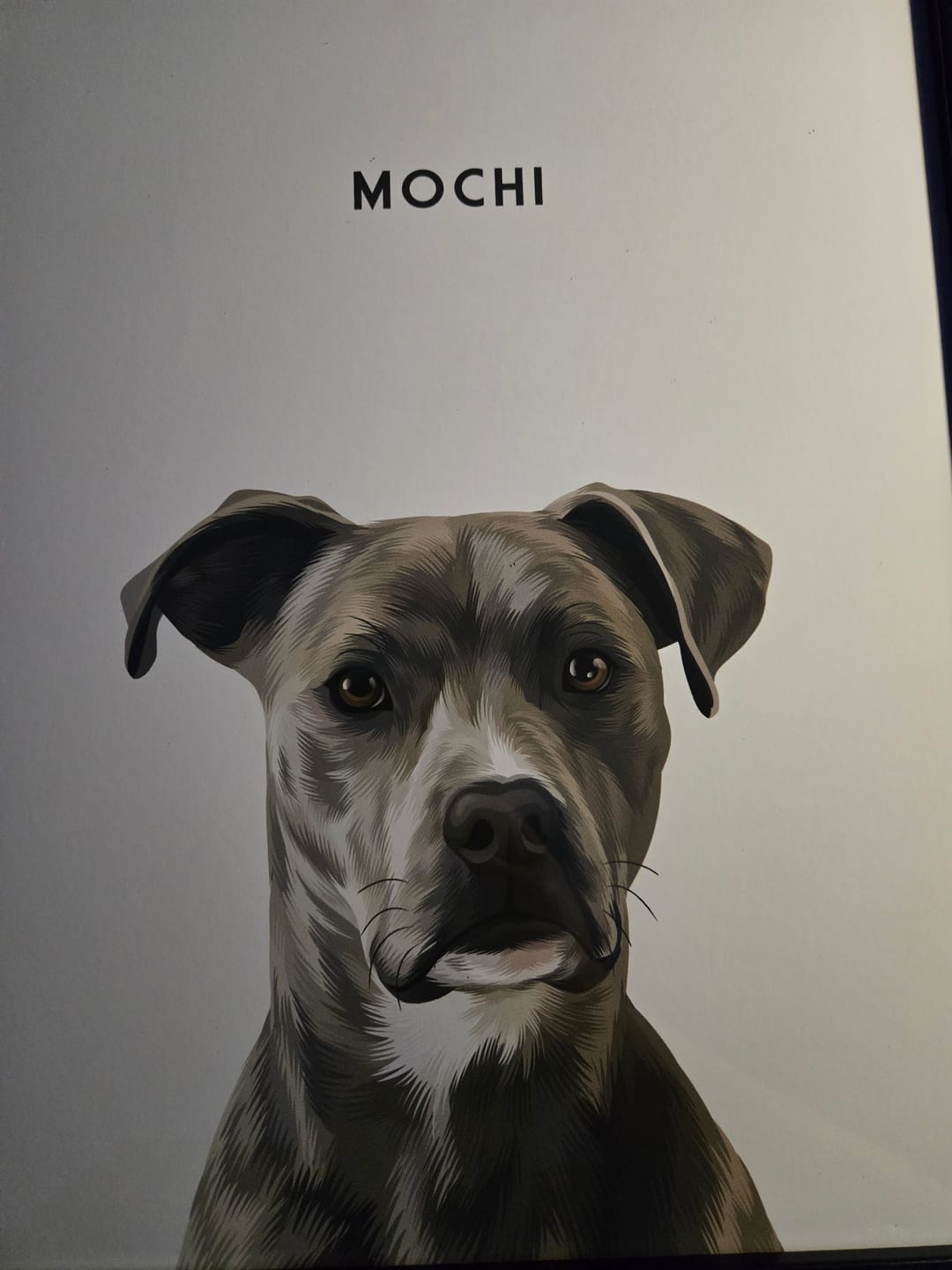 Customer photo review of Custom One Pet Portrait