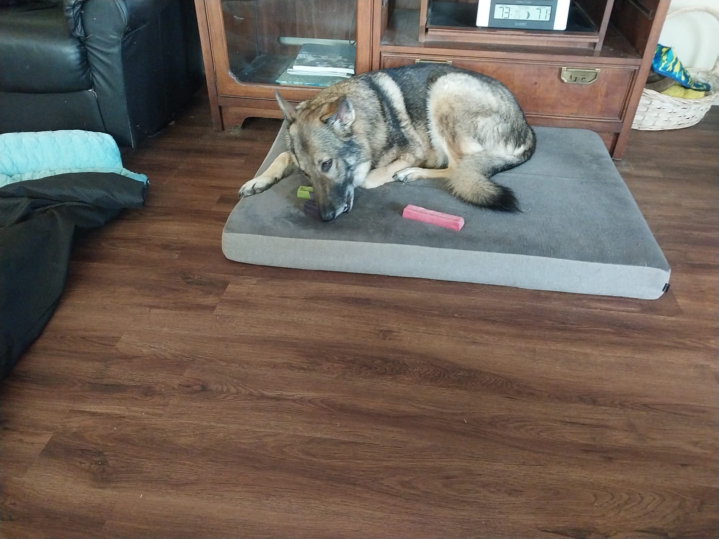 Customer photo review of Strawberry Yak Chews