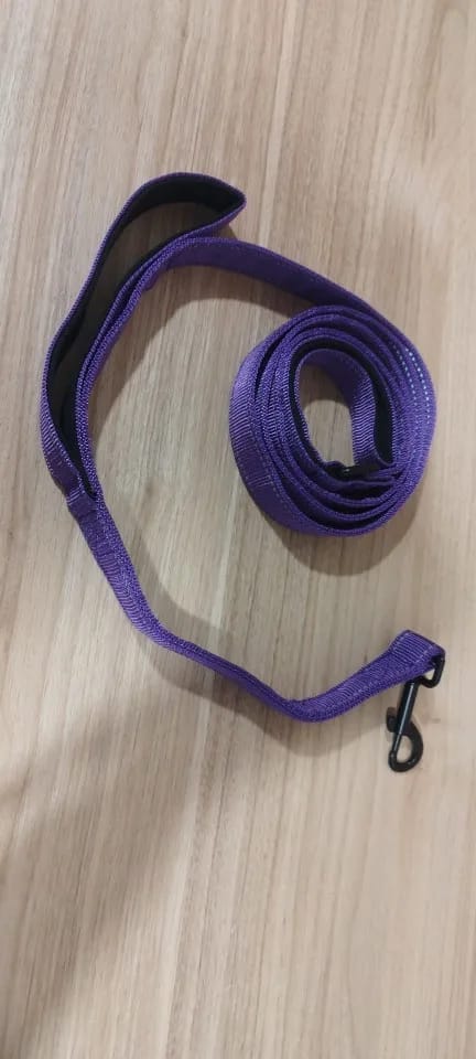 Customer photo review of Double Handle Heavy Duty Nylon Dog Leash For Dogs