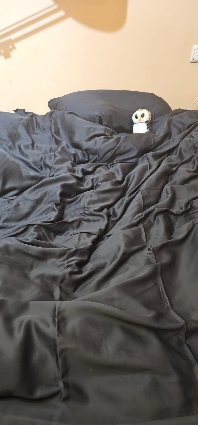 Customer photo review of Numi® Tencel Clean+™ Luxe Sheet Set