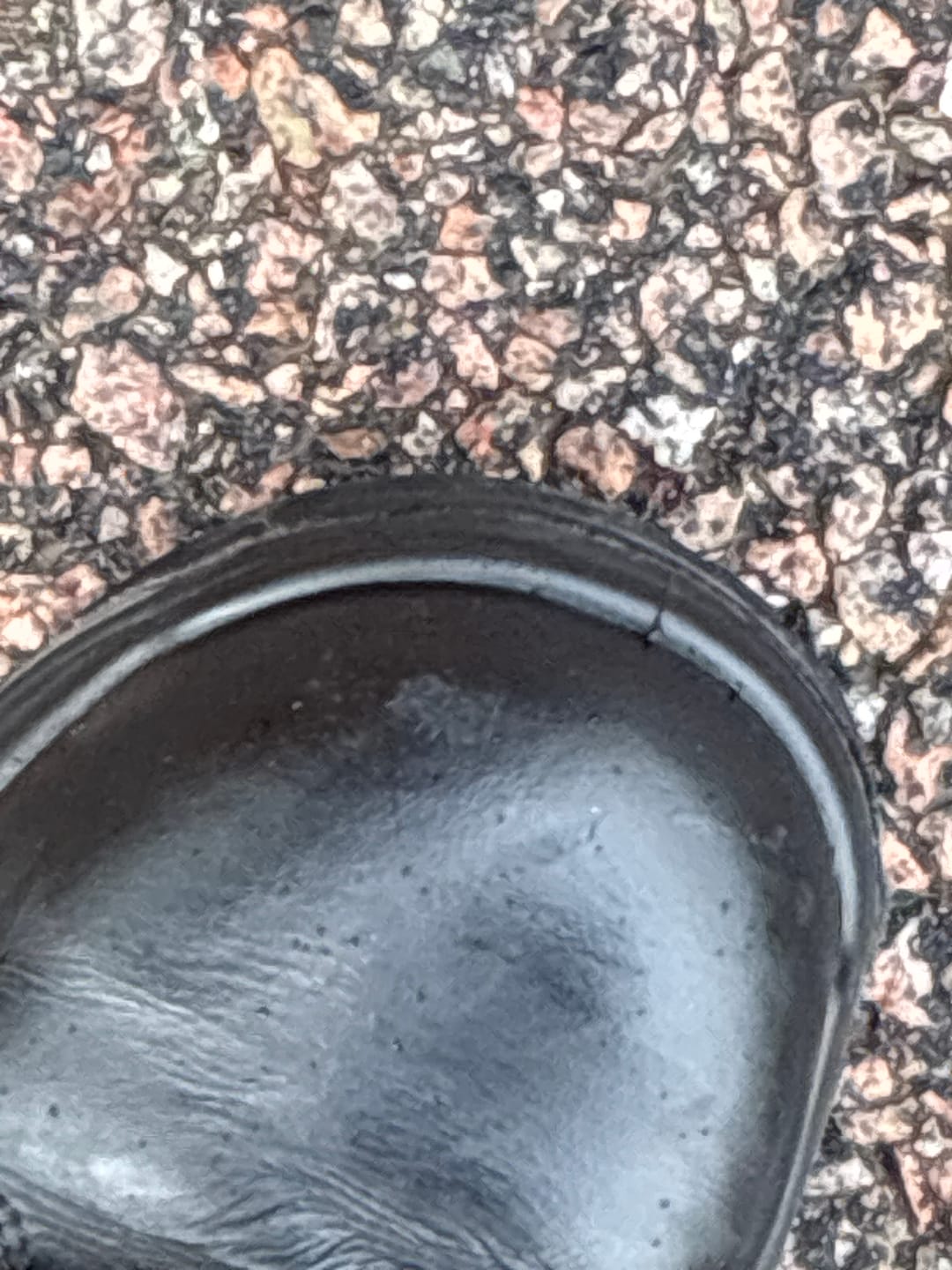 Customer photo review of Responder Side-Zip CT CP WP Uniform Safety Boots (3-5.5)