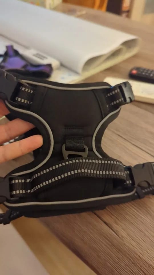 Customer photo review of TruePet Anti-Zug Hundegeschirr | No-Pull mit Front-D-Ring (Zinklegierung) | Air-Mesh Gepolstert | Reflektierend | 9 Farben | S-XL