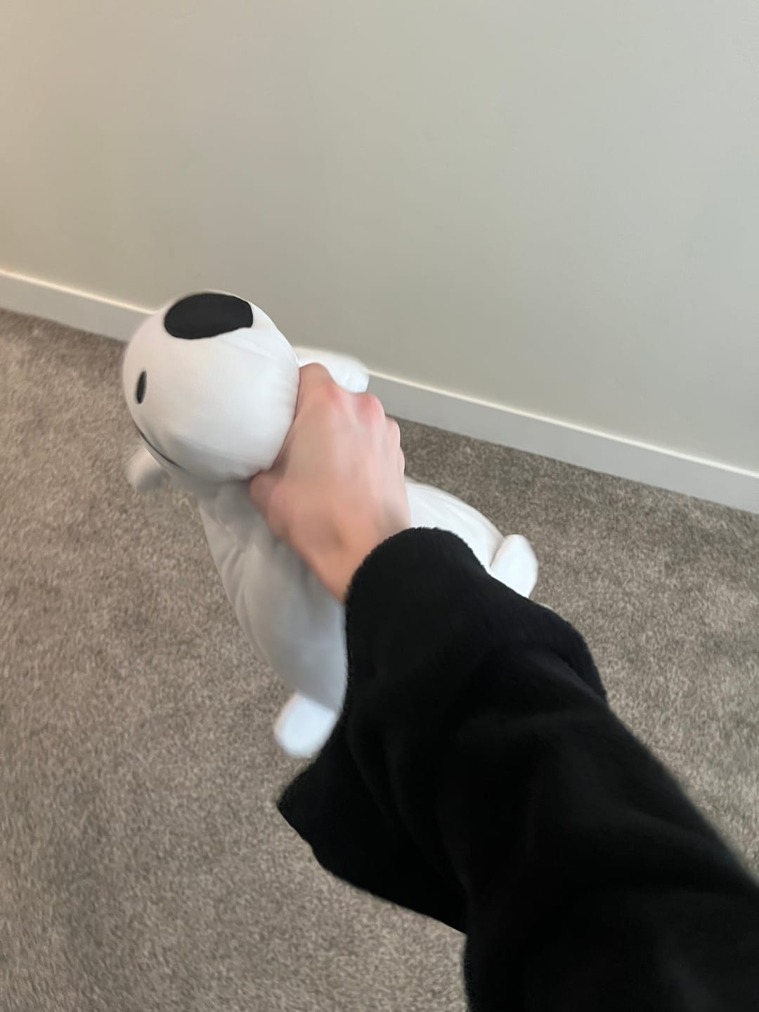 Customer photo review of Rain World - Survivor Slugcat Pillow Plush