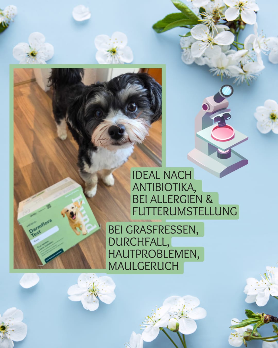 Customer photo review of Darmflora Test Basic Hund