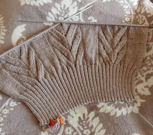 Customer photo review of Alize Superlana Klasik