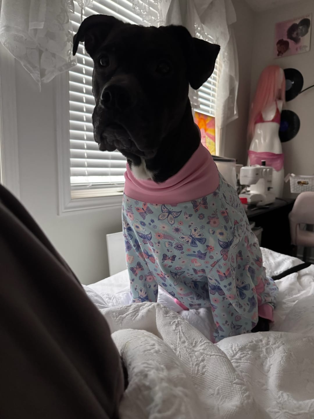 Customer photo review of Dog Pajama Prints