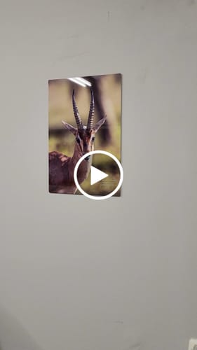 Customer video review of יצירת פוסטר מתמגנט מתמונה