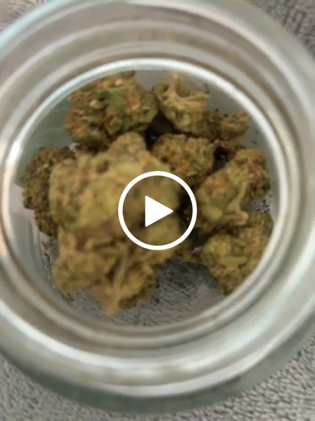 Customer video review of Purple Push Pop -THCa Flower