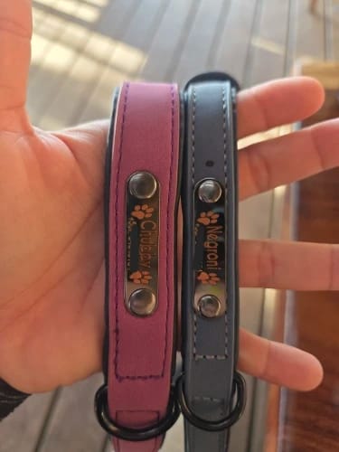 Customer photo review of Custom Leather Dog Collar Leash for Small Medium Large Dogs