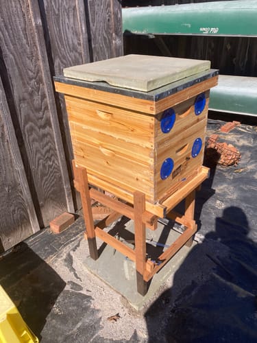 Customer photo review of MayBee Hives 10 Frame 4 Layer Cedar Wood Beehive Dipped in 100% Beeswax, Include 2 Deep Bee Boxes 2 Medium Super Bee Boxes with Pine Wooden Frames and Beeswax Plastic Foundation,Complete beehive kits