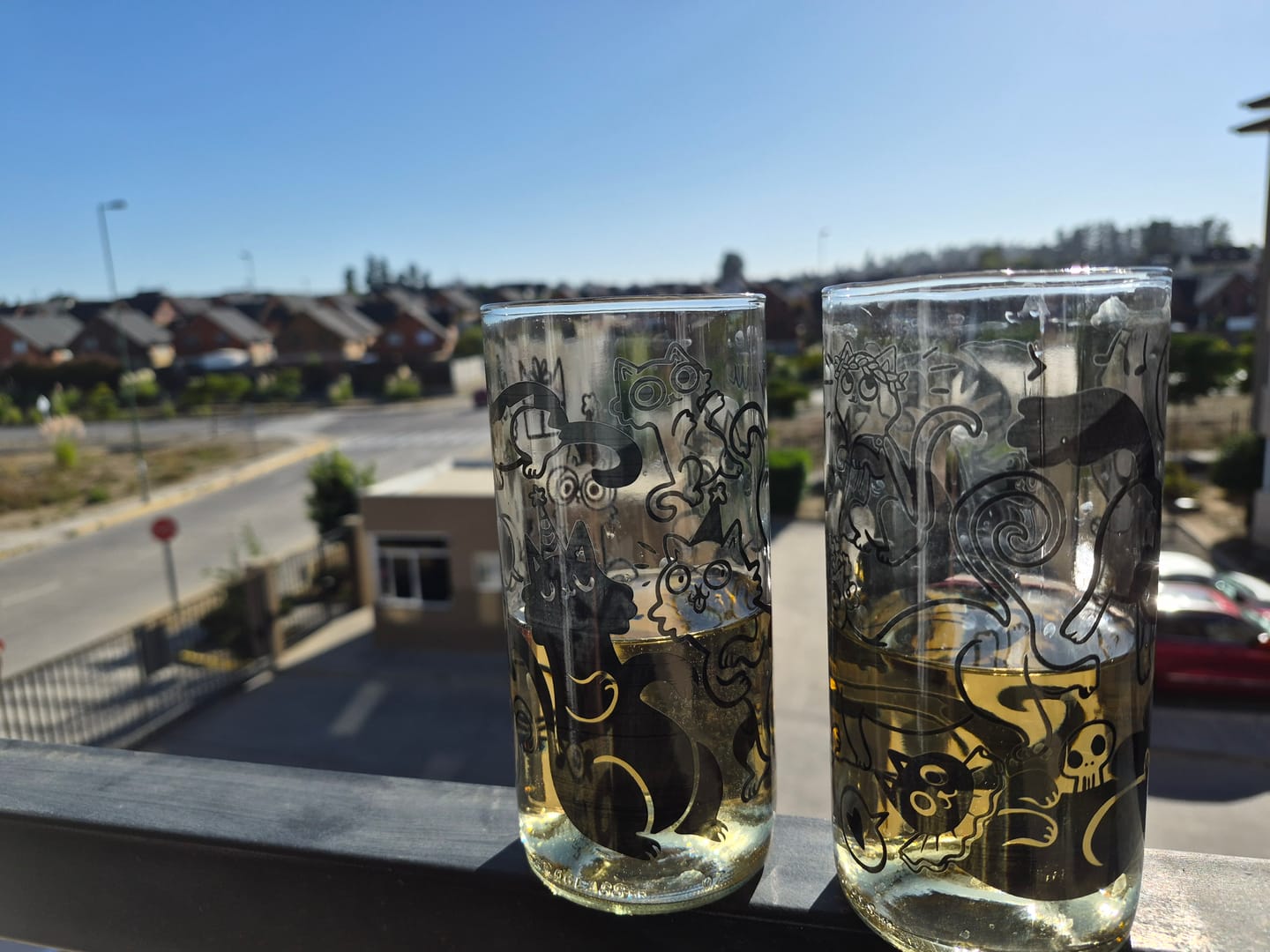 Customer photo review of Miau Glass - Juego de 6 Vasos - 500 ml