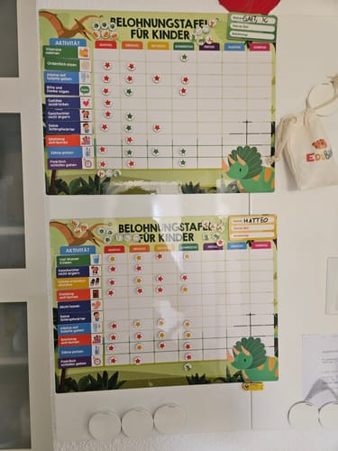 Ein Kunde zeigt zwei Edubini Belohnungstafeln®, die mit bunten Sternmagneten für erledigte Aufgaben gefüllt sind.