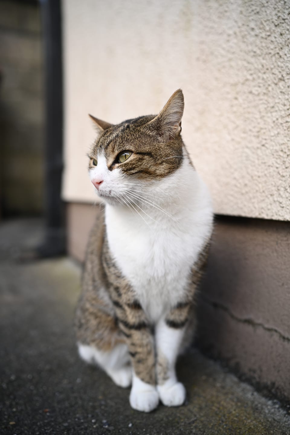 Customer photo review of Simera 28mm f/1.4