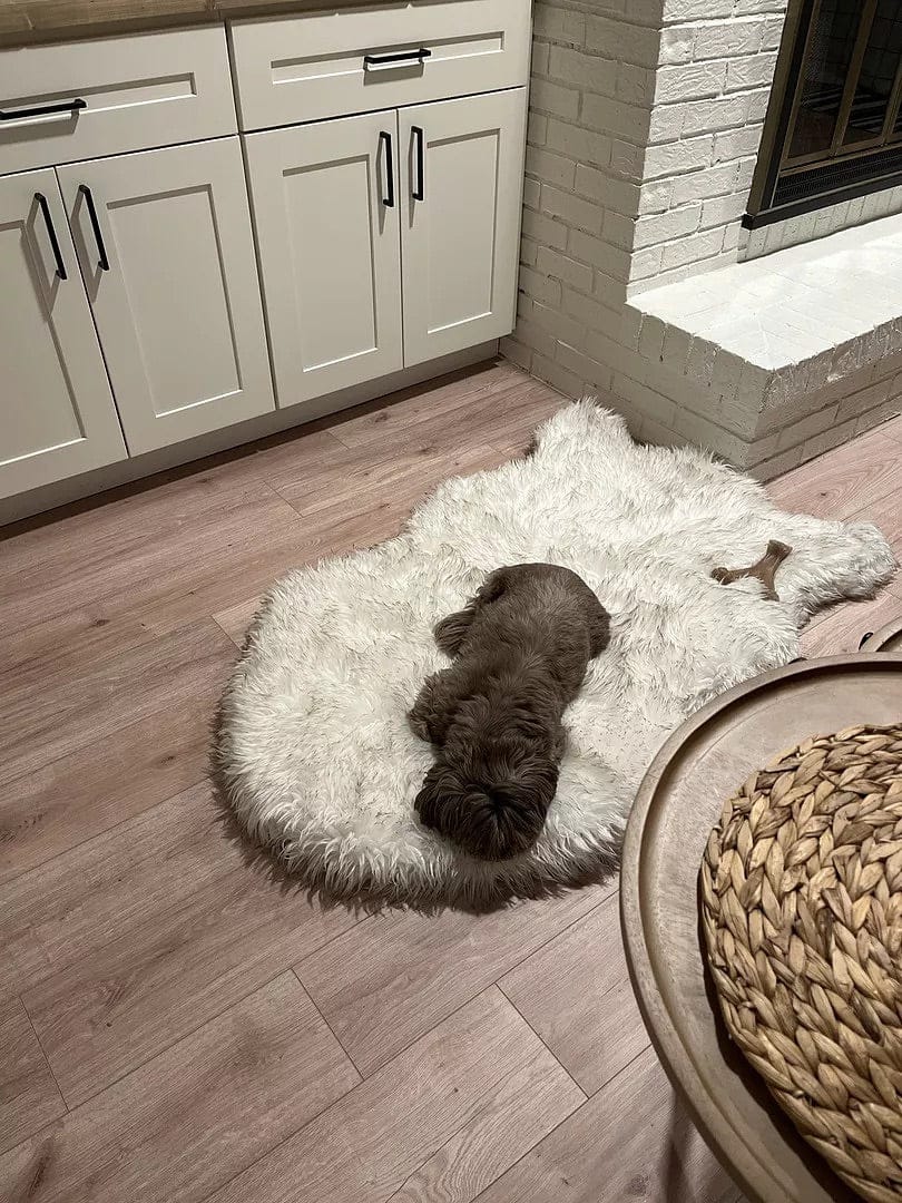 Customer photo review of Faux Fur Orthopedic Pup Rug - Curve White with Brown Accents