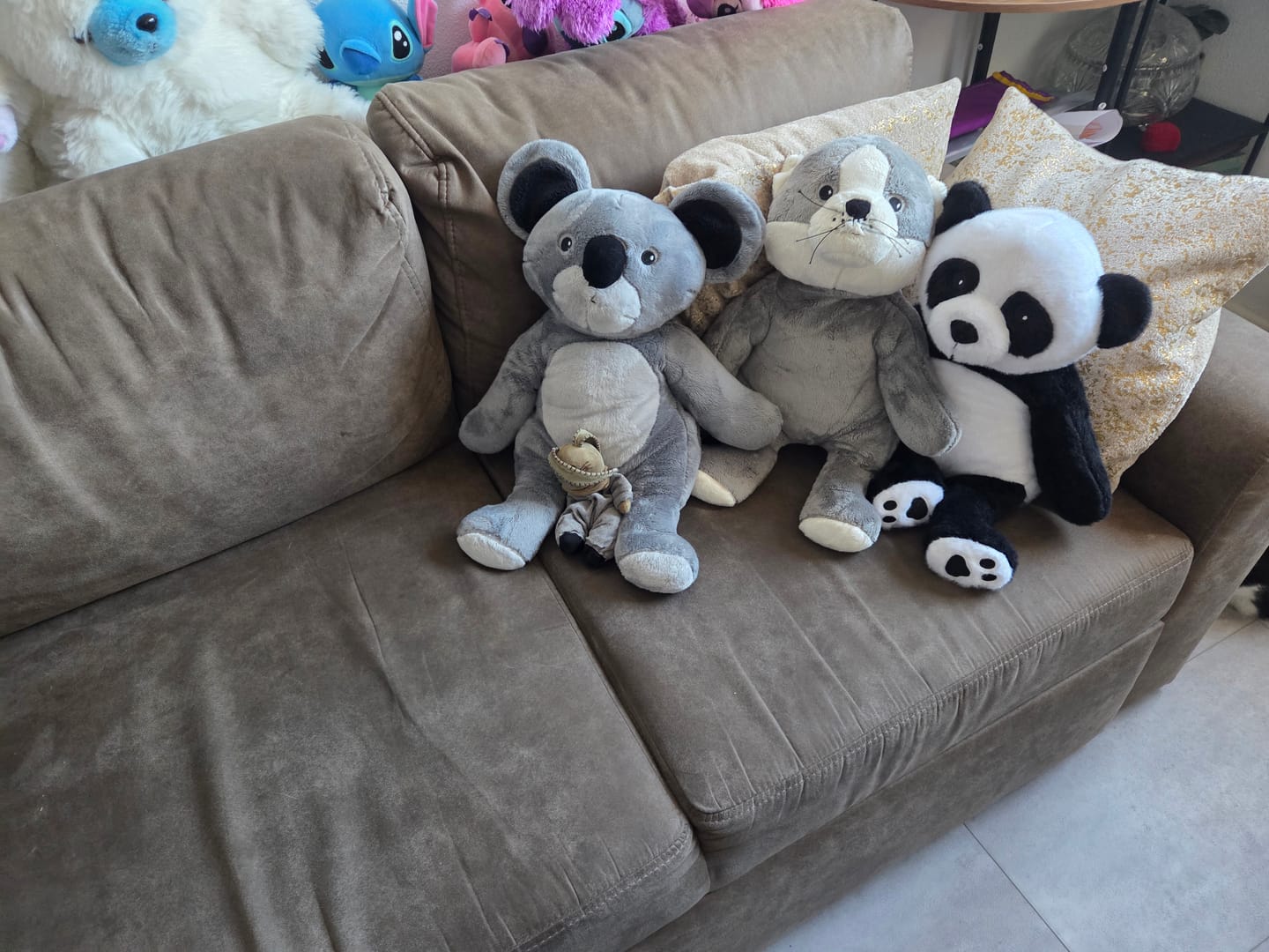 Customer photo review of Lotgenootje Kat 2kg