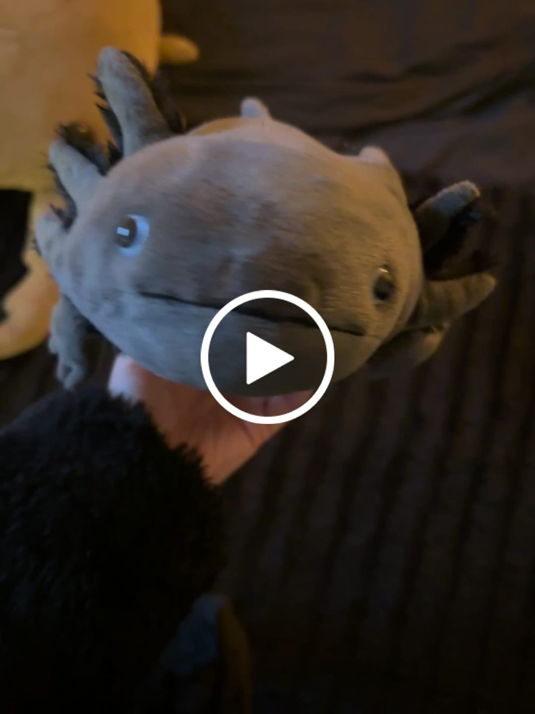 Customer video review of Black Axolotl Soft Stuffed Plush Toy