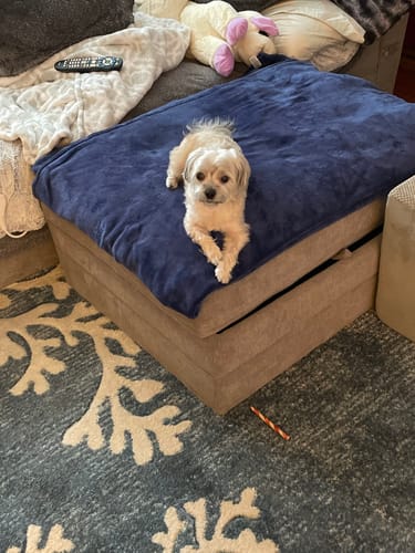 Customer photo review of USA Turkey Tendons