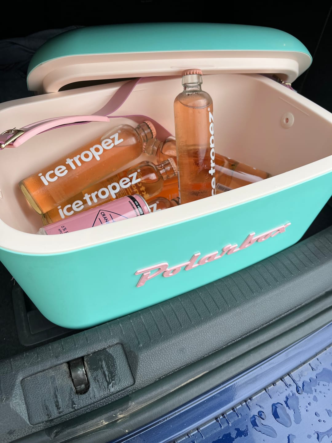 Customer photo review of Polarbox Retro Cooler Box 20L / 12L Cyan