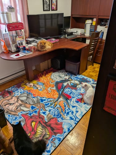Customer photo review of Design Your Own Rug – Unique Style for Every Space