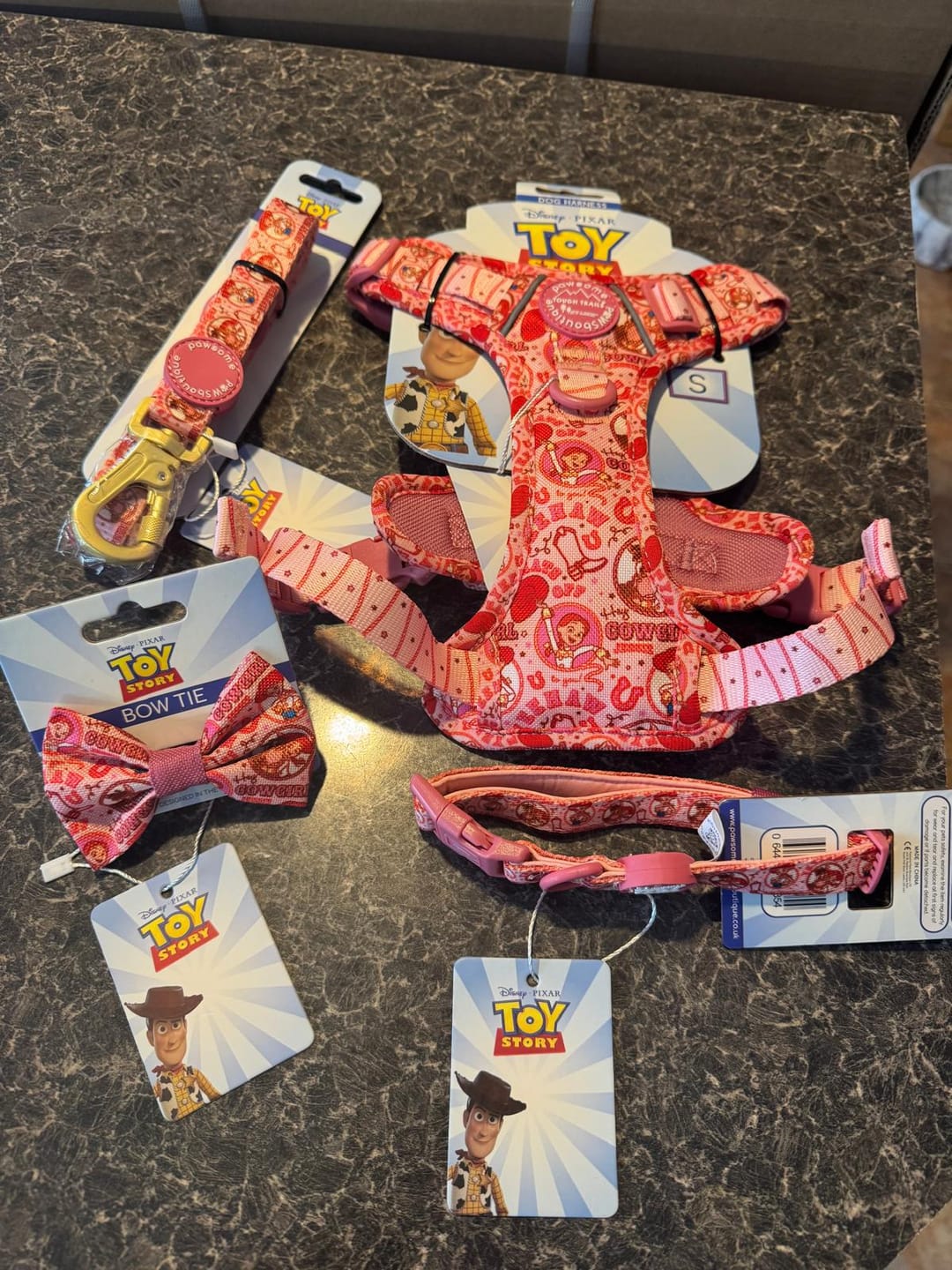 Customer photo review of Disney© Collar - Jessie