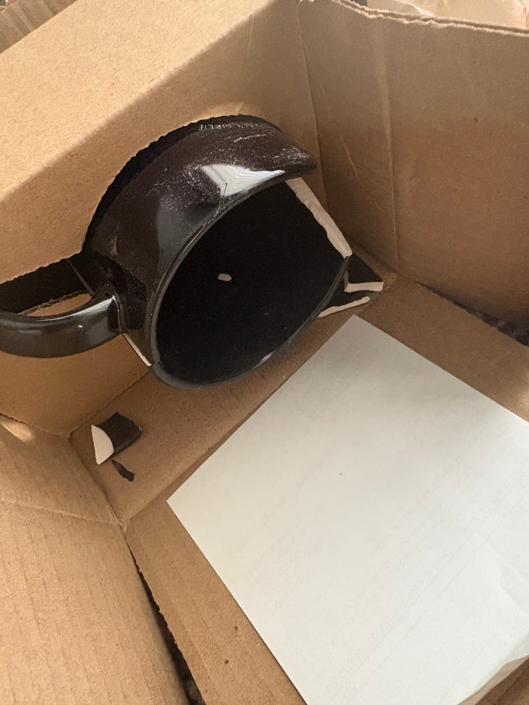 Customer photo review of Conspiracy Girlie Mug