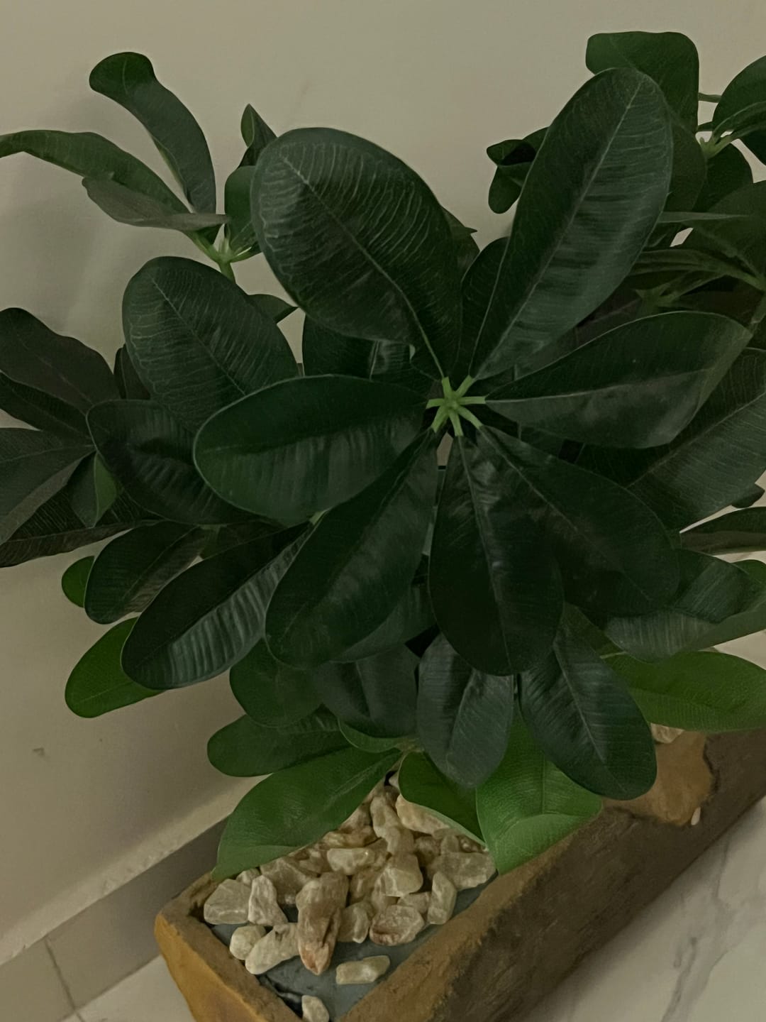 Customer photo review of Rectangular decorative artificial plant pot