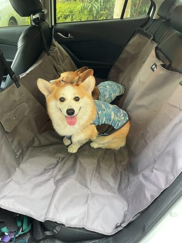 Customer photo review of Dogo Waterproof Car Pet Seat Cover Custom Hand Stitched