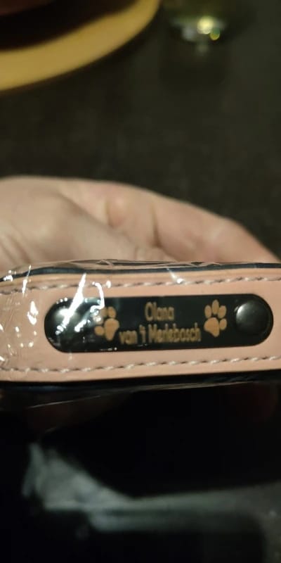 Customer photo review of Custom Leather Dog Collar Leash for Small Medium Large Dogs