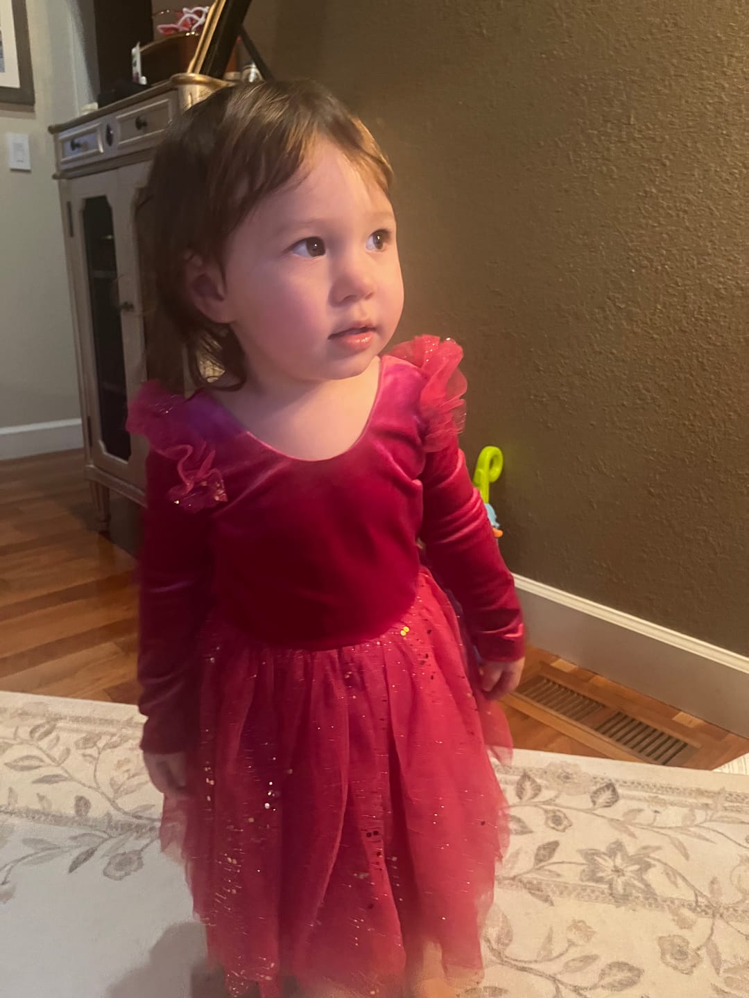 Customer photo review of Velour Ballerina Dress - Festive Fuchsia