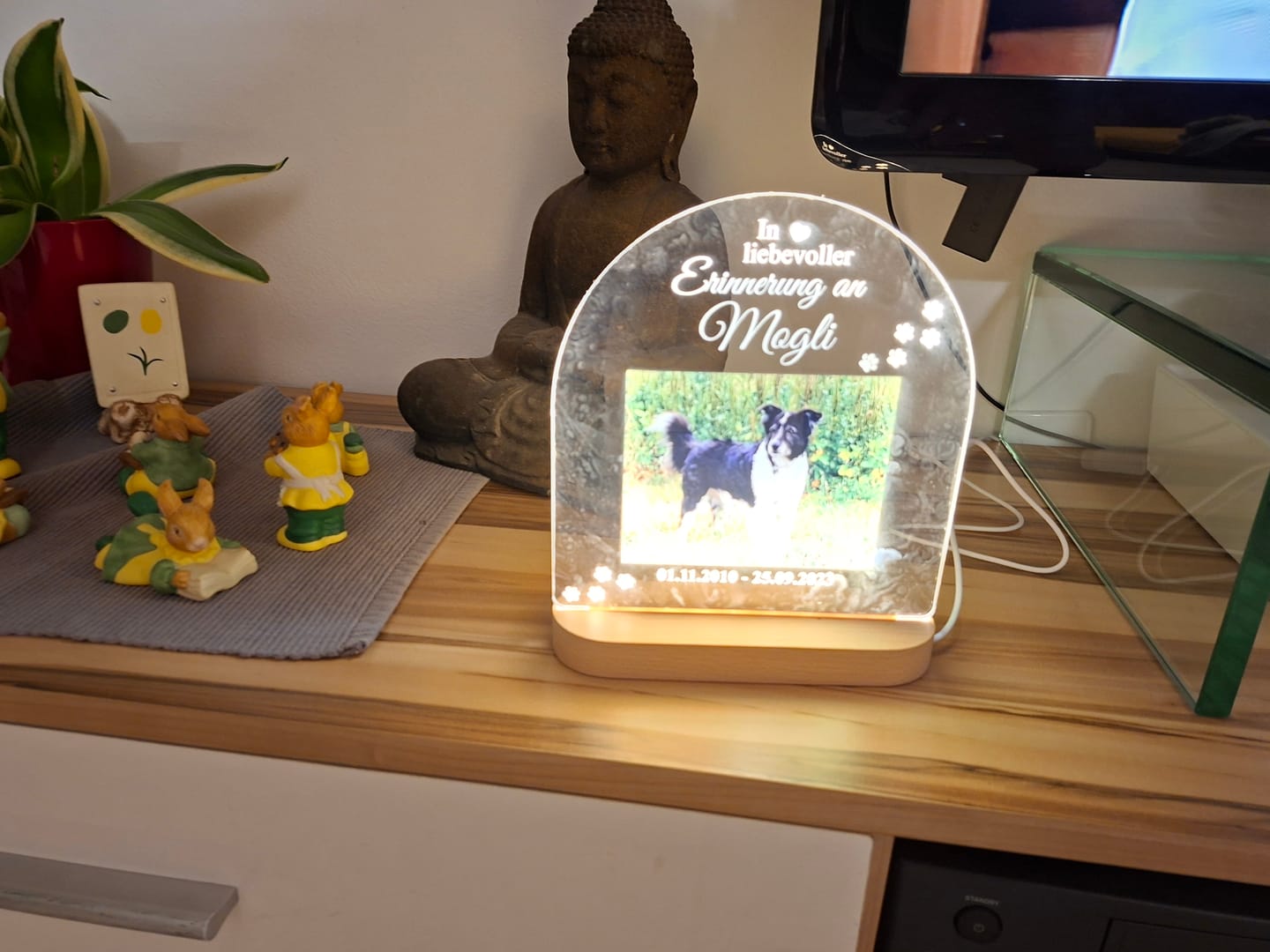 Customer photo review of Zur liebevollen Erinnerung – LED-Lampe für Hund/Katze