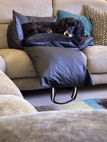Customer photo review of The Dog Dock V2 New & Improved with ISO Fix