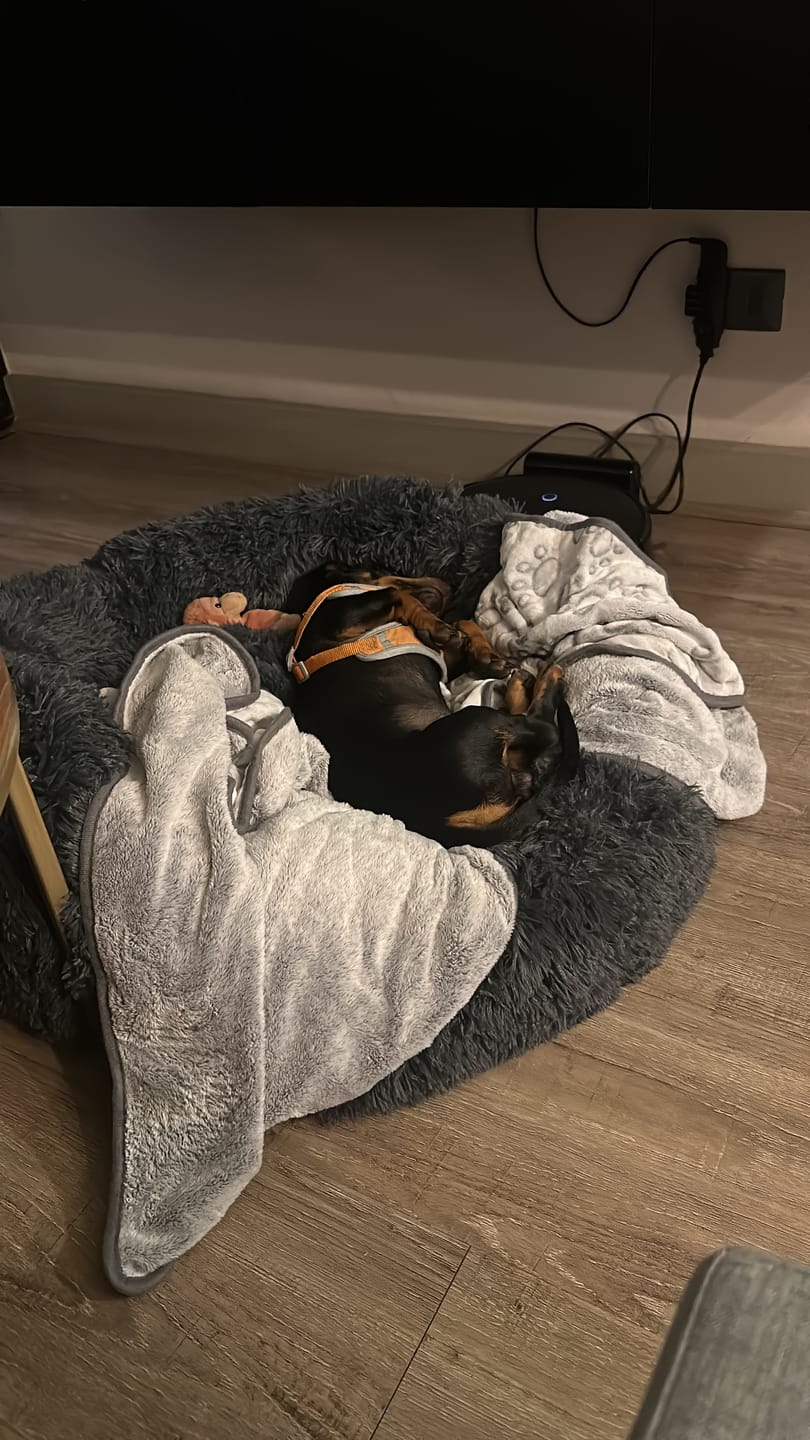Customer photo review of Manta suave — Menos ansiedad