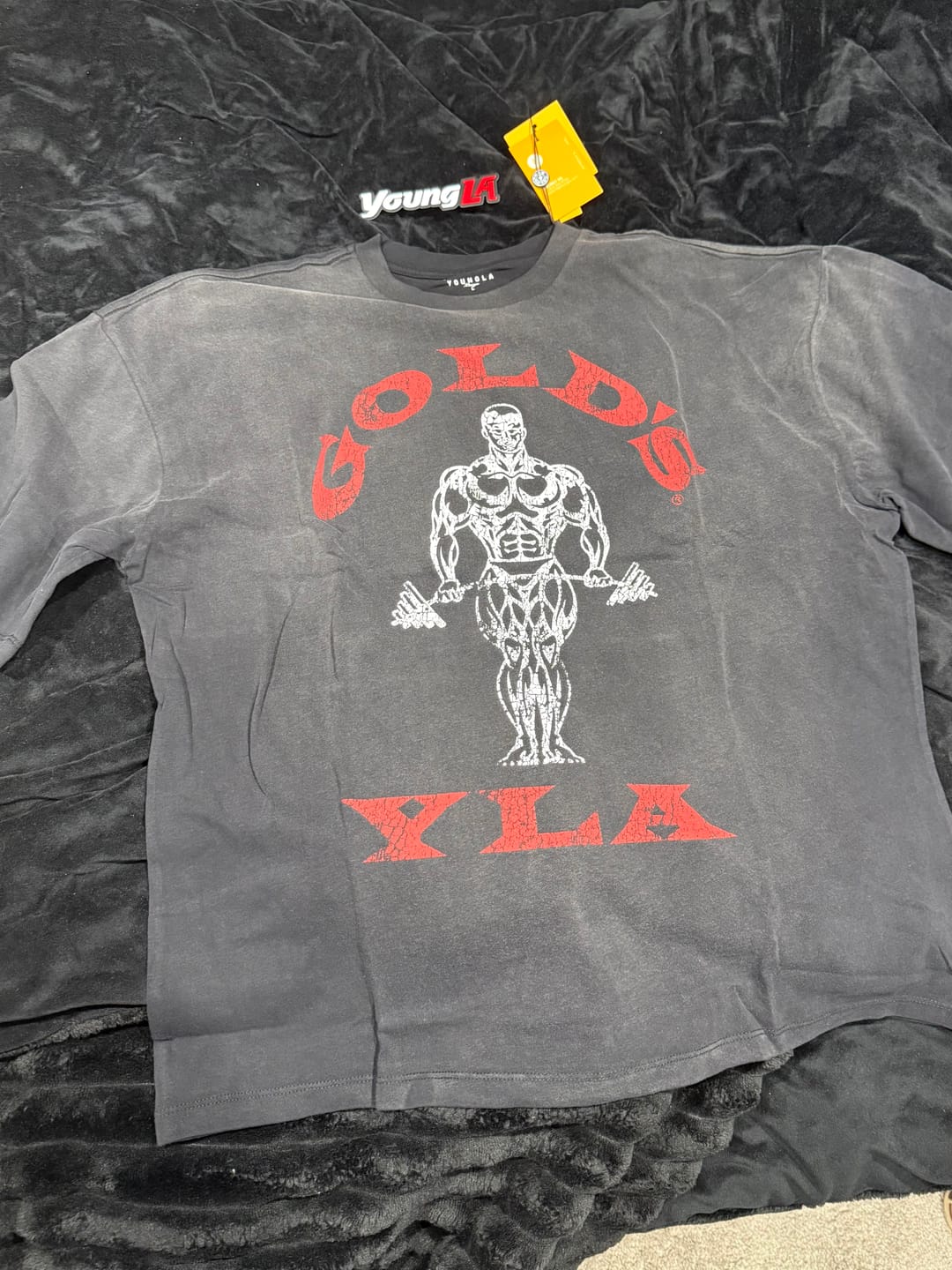 Customer photo review of 4213 - Gold's Iron Legacy Icon Tees