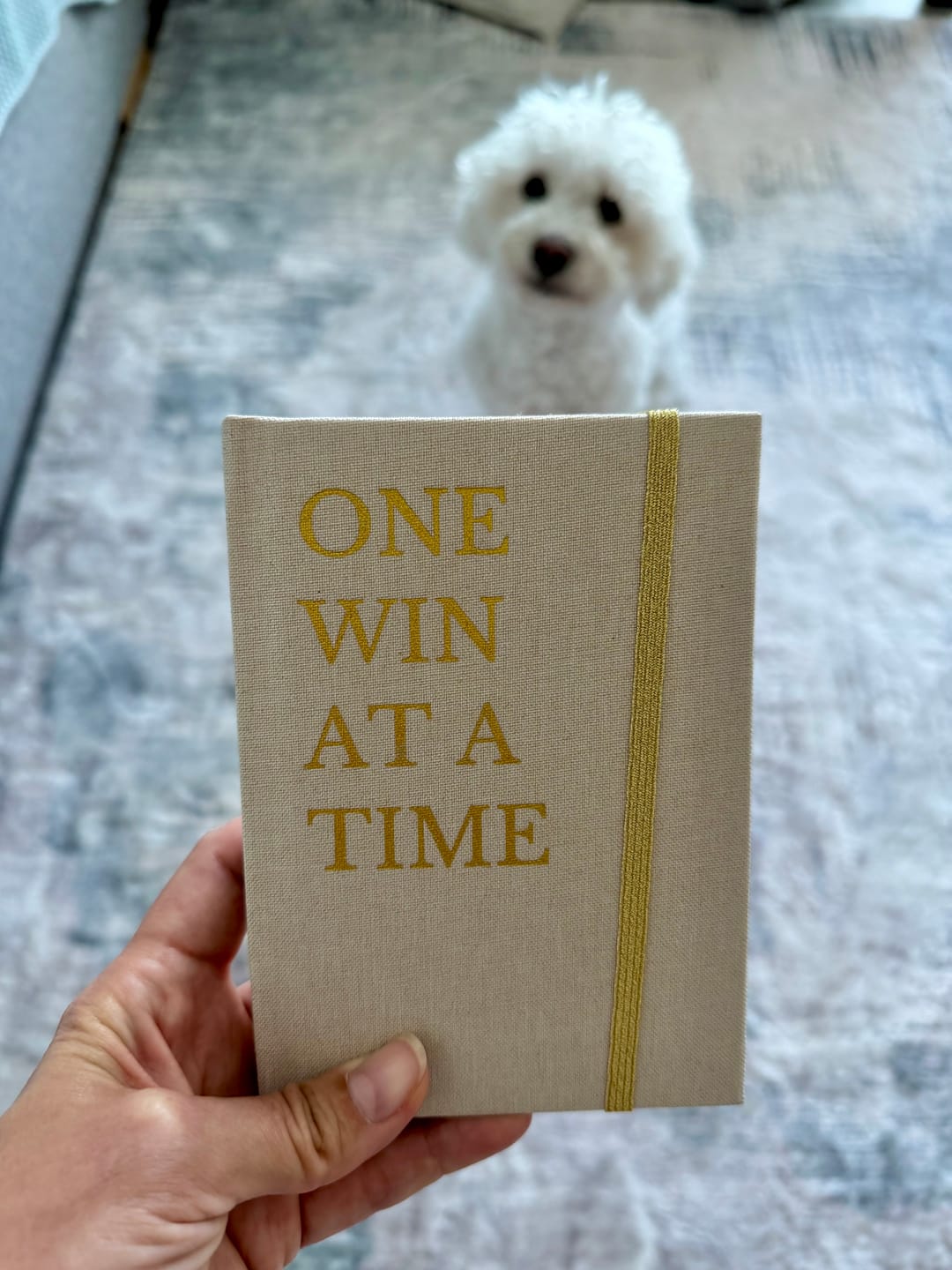 Customer photo review of One Win at a Time Notebook | The Power of Small Wins